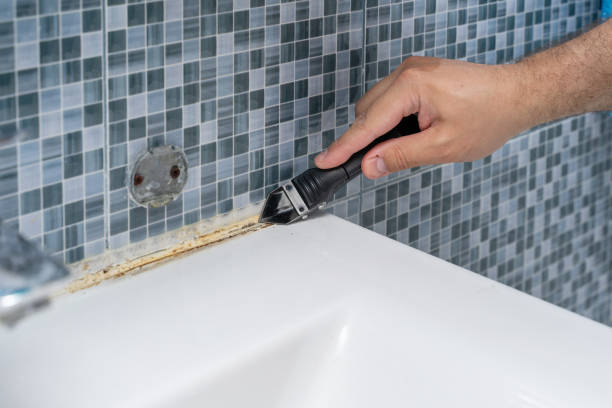 Mold Removal and Inspection in Berkley, CO
