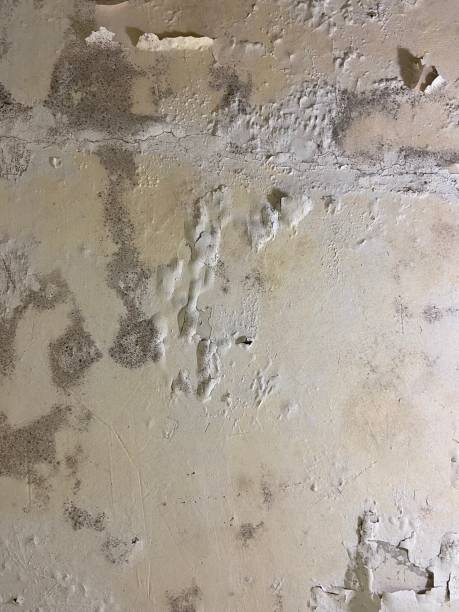 Water Damage Restoration in Berkley, CO